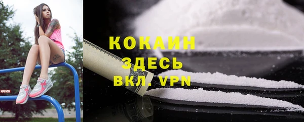 крисы Белокуриха