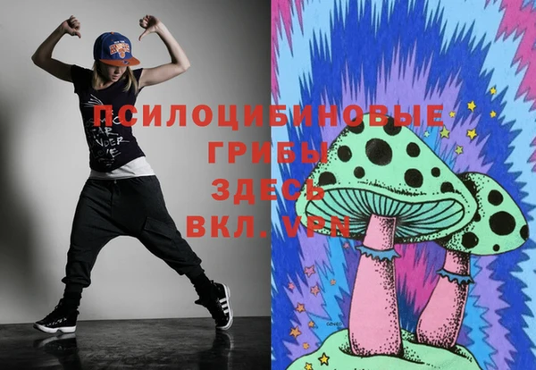 винт Богородицк