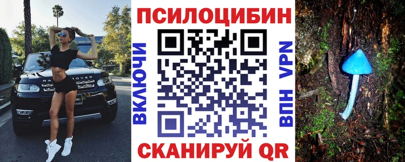 Псилоцибиновые грибы прущие грибы  Балабаново 